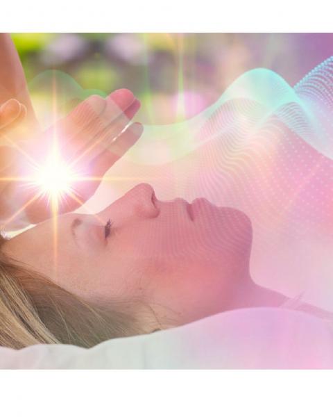 Traditionelle  Reiki - Schule  (Usui Shiki Ryoho)